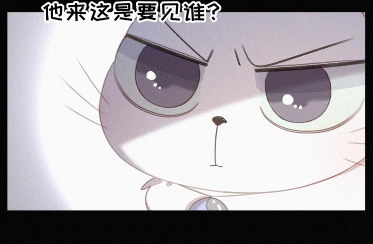 社会喵韩漫全集-第33话 我的情敌是只猫？无删减无遮挡章节图片 