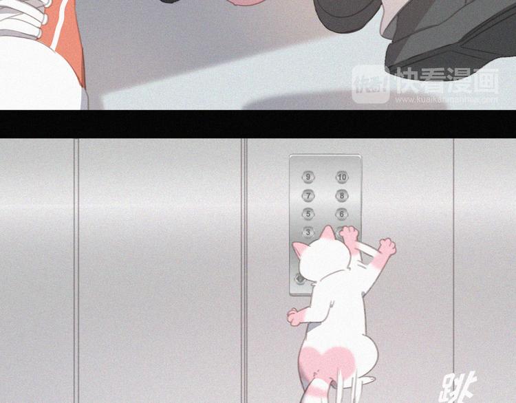 社会喵韩漫全集-第33话 我的情敌是只猫？无删减无遮挡章节图片 