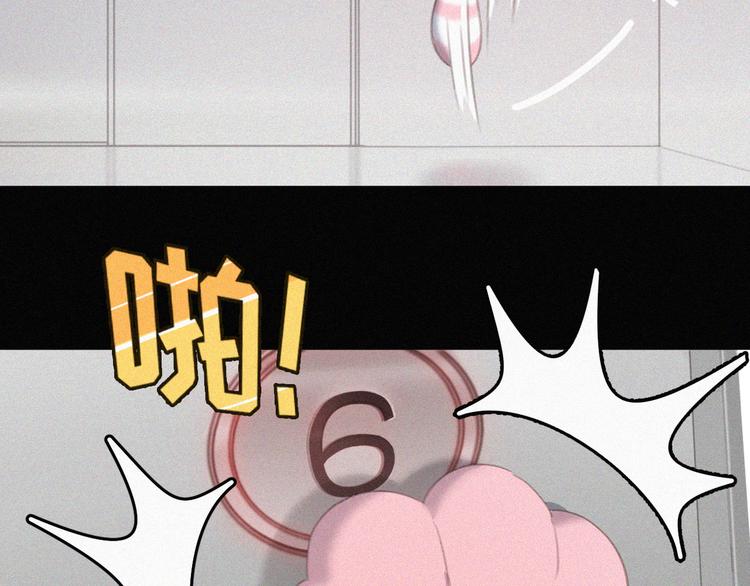 社会喵韩漫全集-第33话 我的情敌是只猫？无删减无遮挡章节图片 