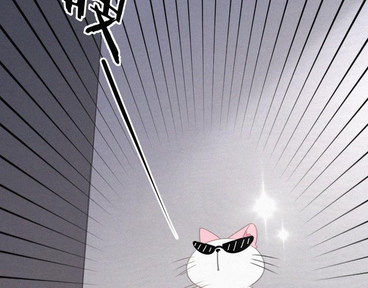 社会喵韩漫全集-第33话 我的情敌是只猫？无删减无遮挡章节图片 