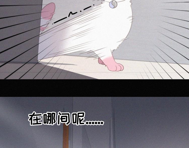社会喵韩漫全集-第33话 我的情敌是只猫？无删减无遮挡章节图片 