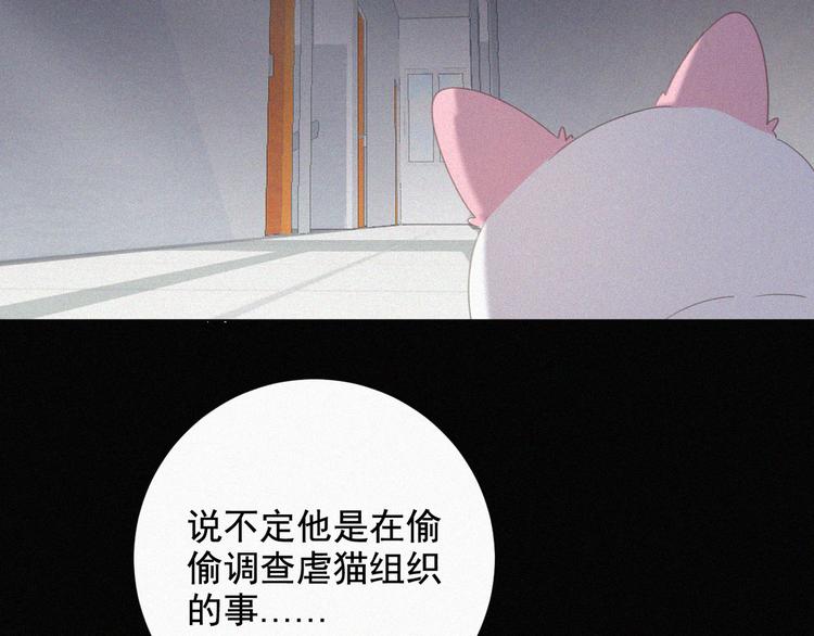 社会喵韩漫全集-第33话 我的情敌是只猫？无删减无遮挡章节图片 