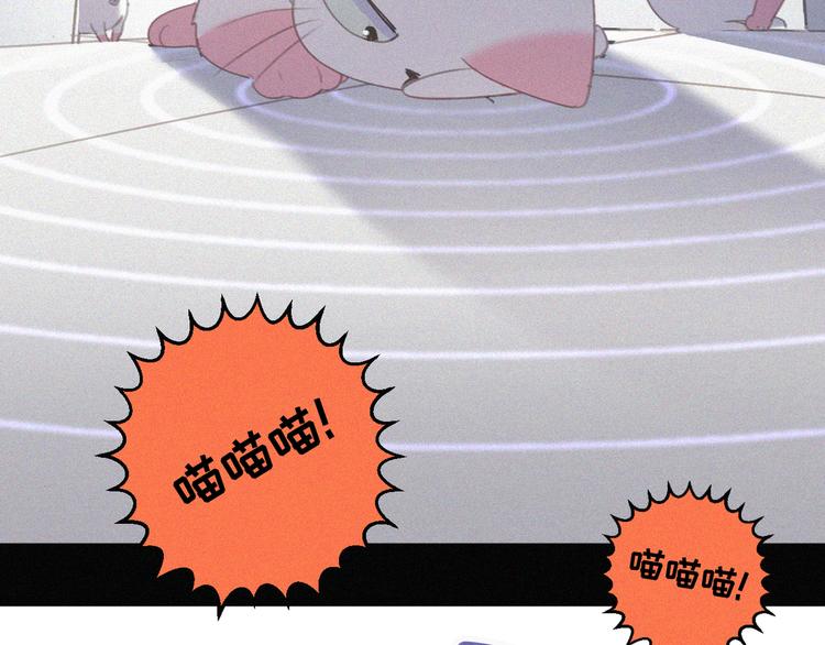 社会喵韩漫全集-第33话 我的情敌是只猫？无删减无遮挡章节图片 