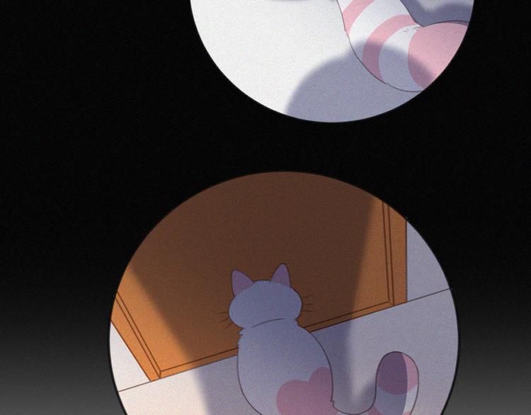 社会喵韩漫全集-第33话 我的情敌是只猫？无删减无遮挡章节图片 