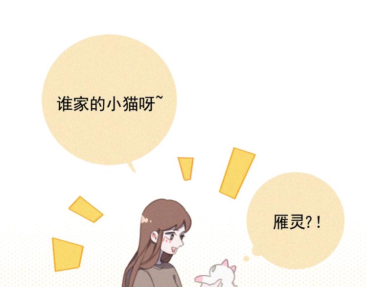 社会喵韩漫全集-第33话 我的情敌是只猫？无删减无遮挡章节图片 