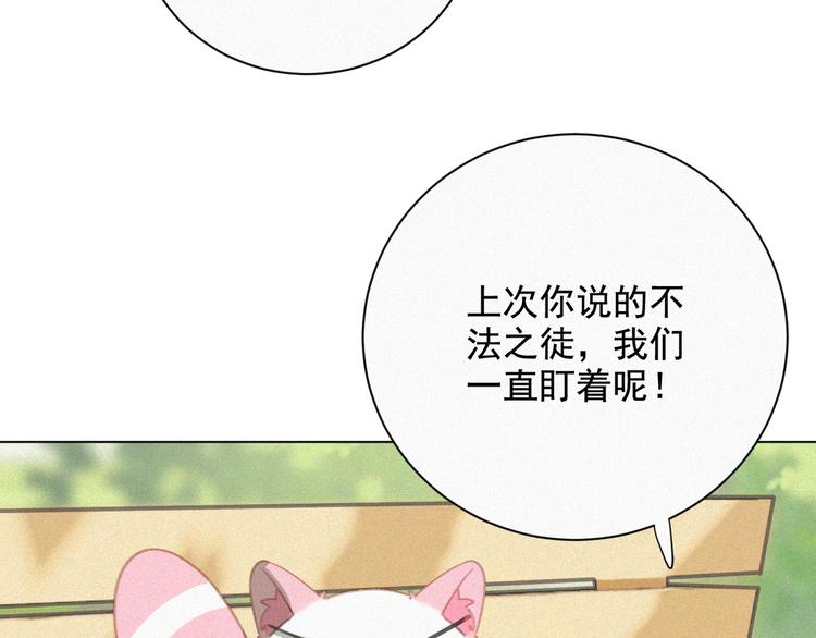社会喵韩漫全集-第33话 我的情敌是只猫？无删减无遮挡章节图片 