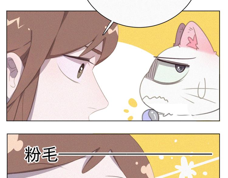 社会喵韩漫全集-第33话 我的情敌是只猫？无删减无遮挡章节图片 