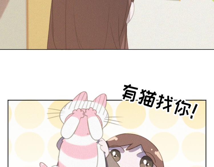 社会喵韩漫全集-第33话 我的情敌是只猫？无删减无遮挡章节图片 
