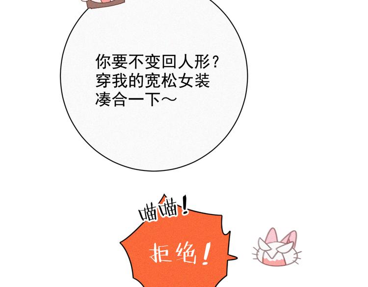 社会喵韩漫全集-第33话 我的情敌是只猫？无删减无遮挡章节图片 