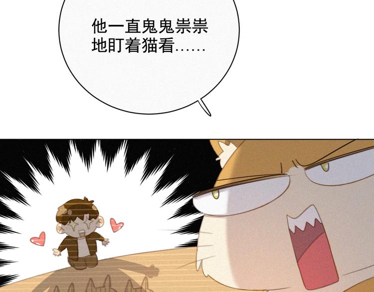 社会喵韩漫全集-第33话 我的情敌是只猫？无删减无遮挡章节图片 