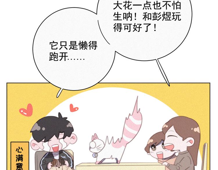 社会喵韩漫全集-第33话 我的情敌是只猫？无删减无遮挡章节图片 