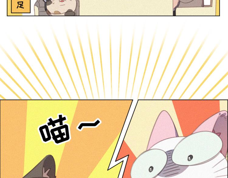 社会喵韩漫全集-第33话 我的情敌是只猫？无删减无遮挡章节图片 