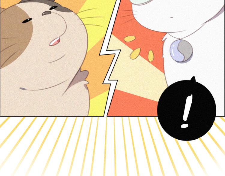 社会喵韩漫全集-第33话 我的情敌是只猫？无删减无遮挡章节图片 