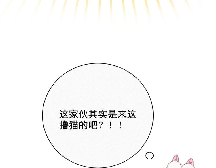 社会喵韩漫全集-第33话 我的情敌是只猫？无删减无遮挡章节图片 