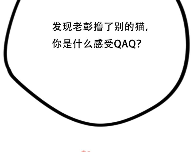 社会喵韩漫全集-第33话 我的情敌是只猫？无删减无遮挡章节图片 