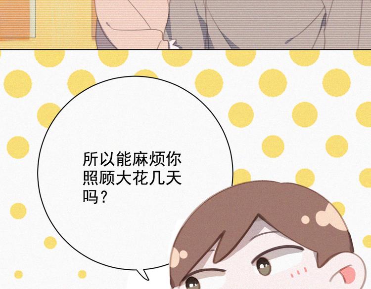 社会喵韩漫全集-第34话 与猫争宠无删减无遮挡章节图片 