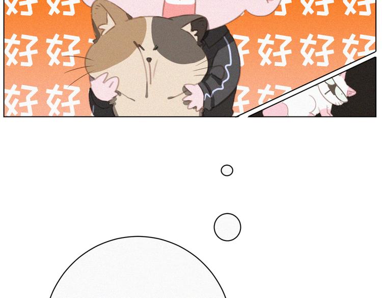 社会喵韩漫全集-第34话 与猫争宠无删减无遮挡章节图片 