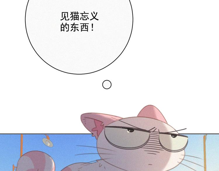 社会喵韩漫全集-第34话 与猫争宠无删减无遮挡章节图片 