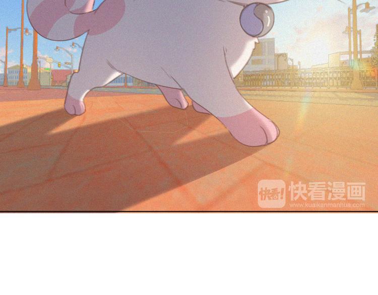 社会喵韩漫全集-第34话 与猫争宠无删减无遮挡章节图片 