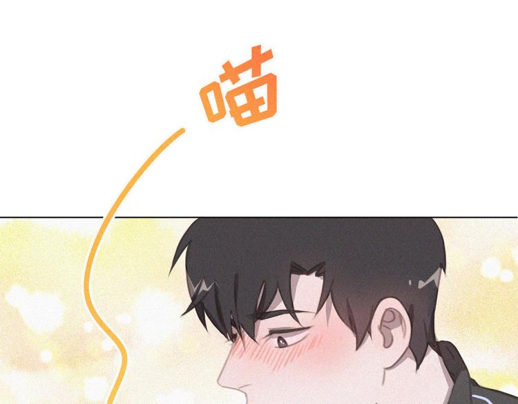 社会喵韩漫全集-第34话 与猫争宠无删减无遮挡章节图片 