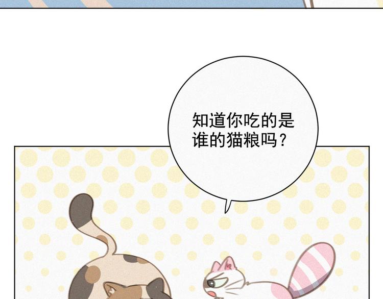 社会喵韩漫全集-第34话 与猫争宠无删减无遮挡章节图片 