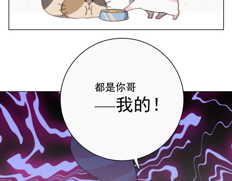 社会喵韩漫全集-第34话 与猫争宠无删减无遮挡章节图片 