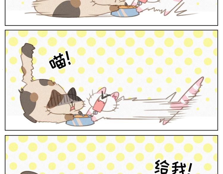社会喵韩漫全集-第34话 与猫争宠无删减无遮挡章节图片 