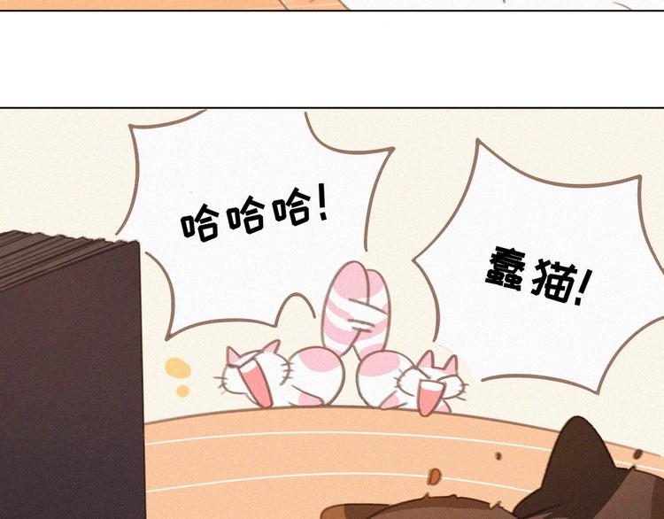 社会喵韩漫全集-第34话 与猫争宠无删减无遮挡章节图片 