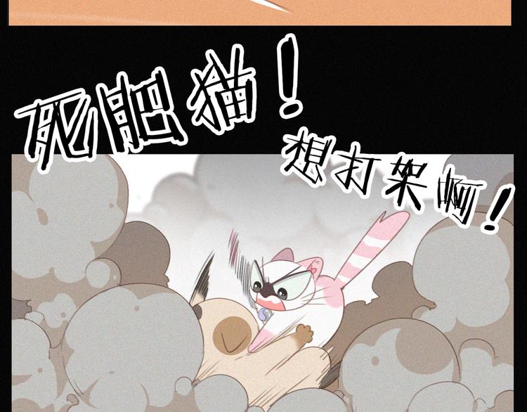 社会喵韩漫全集-第34话 与猫争宠无删减无遮挡章节图片 