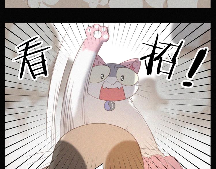 社会喵韩漫全集-第34话 与猫争宠无删减无遮挡章节图片 