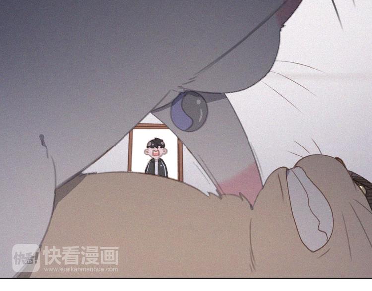 社会喵韩漫全集-第34话 与猫争宠无删减无遮挡章节图片 