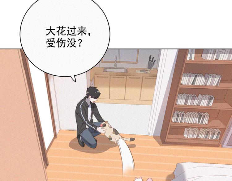社会喵韩漫全集-第34话 与猫争宠无删减无遮挡章节图片 