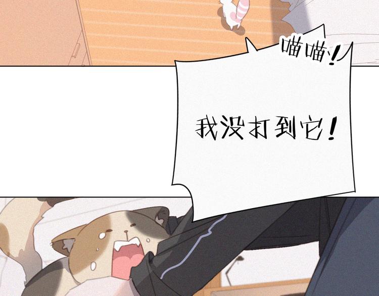 社会喵韩漫全集-第34话 与猫争宠无删减无遮挡章节图片 