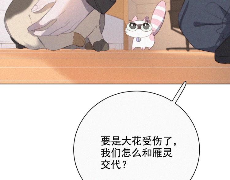 社会喵韩漫全集-第34话 与猫争宠无删减无遮挡章节图片 