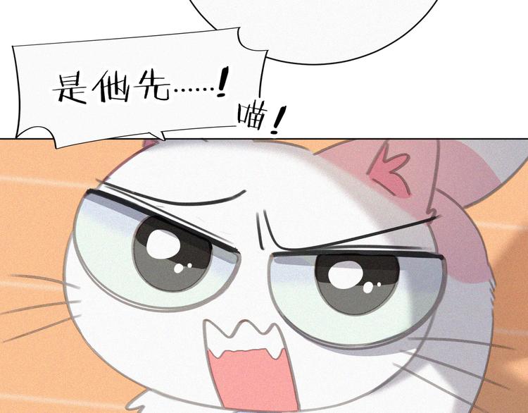 社会喵韩漫全集-第34话 与猫争宠无删减无遮挡章节图片 
