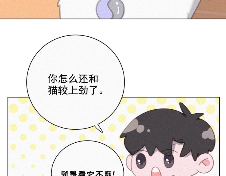 社会喵韩漫全集-第34话 与猫争宠无删减无遮挡章节图片 
