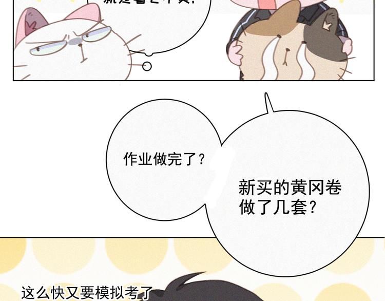社会喵韩漫全集-第34话 与猫争宠无删减无遮挡章节图片 