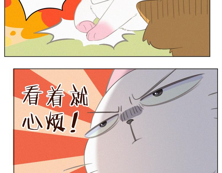 社会喵韩漫全集-第35话 相依为命无删减无遮挡章节图片 