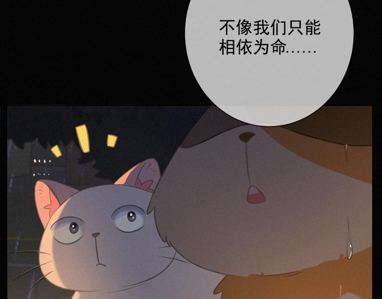 社会喵韩漫全集-第35话 相依为命无删减无遮挡章节图片 