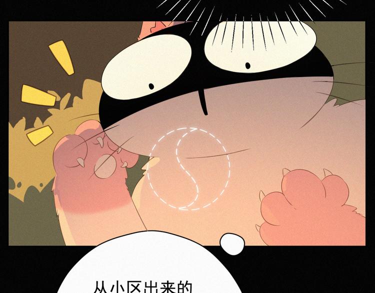 社会喵韩漫全集-第35话 相依为命无删减无遮挡章节图片 