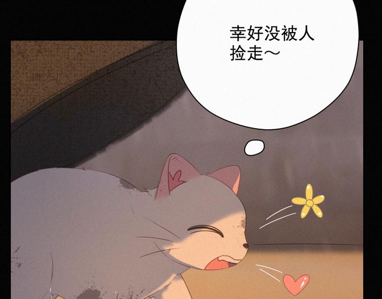 社会喵韩漫全集-第35话 相依为命无删减无遮挡章节图片 
