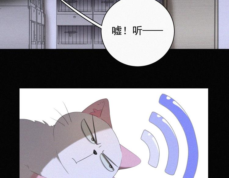社会喵韩漫全集-第36话 逃出生天无删减无遮挡章节图片 
