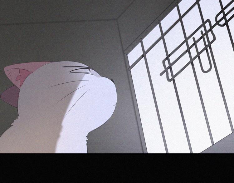 社会喵韩漫全集-第36话 逃出生天无删减无遮挡章节图片 