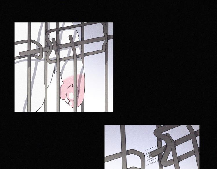 社会喵韩漫全集-第36话 逃出生天无删减无遮挡章节图片 