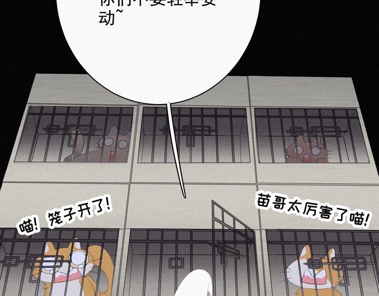 社会喵韩漫全集-第36话 逃出生天无删减无遮挡章节图片 