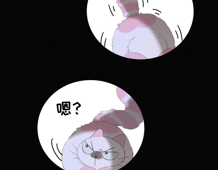 社会喵韩漫全集-第36话 逃出生天无删减无遮挡章节图片 