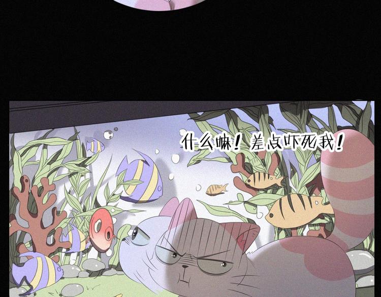 社会喵韩漫全集-第36话 逃出生天无删减无遮挡章节图片 
