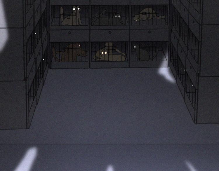 社会喵韩漫全集-第36话 逃出生天无删减无遮挡章节图片 