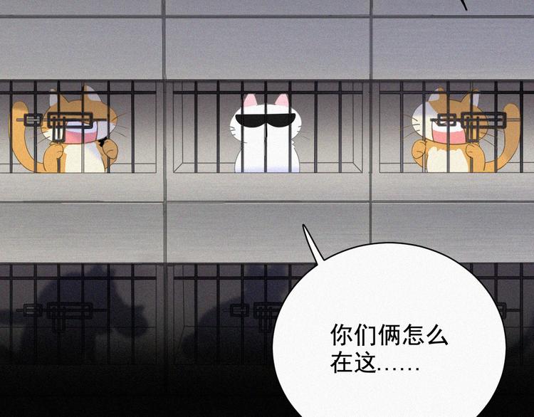 社会喵韩漫全集-第36话 逃出生天无删减无遮挡章节图片 