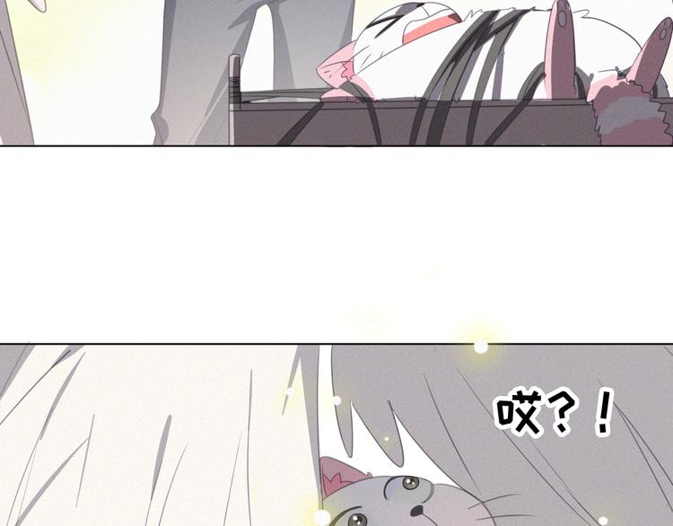 社会喵韩漫全集-第37话 学霸变身无删减无遮挡章节图片 